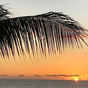 Meet your Posher, Miranda